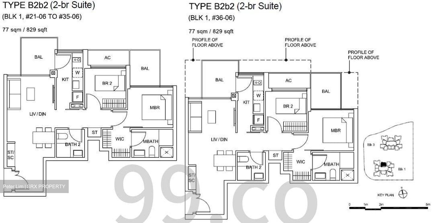 Sky Vue (D20), Condominium #590939081